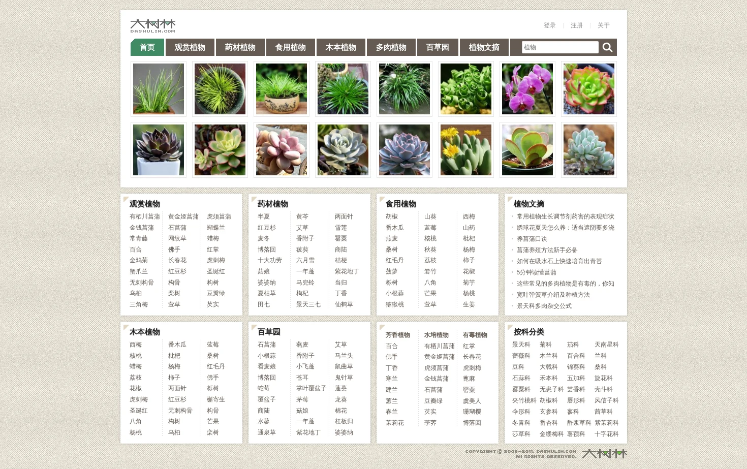 大树林植物网 页面快照